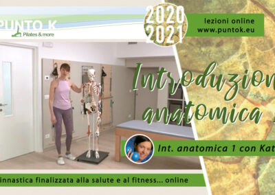 Introduzione anatomica – parte 1 06 min